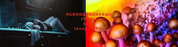 mdpv Алзамай