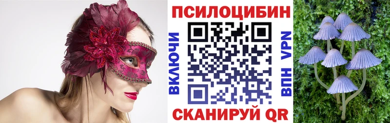 Псилоцибиновые грибы Psilocybine cubensis  Ужур 